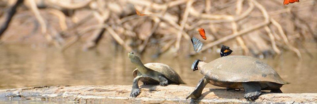 Reserve Zone Tours